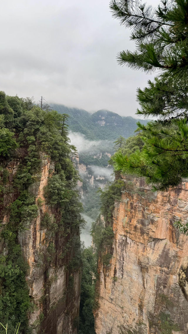 你見過會“飄”在雲裡的石頭嗎？