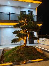 藏喺開平嘅寶藏民宿｜讓你住進質感美學裡