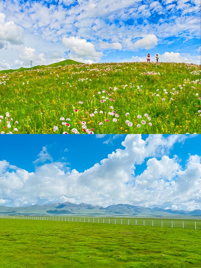 天哪這麼美的人間仙境到底在哪