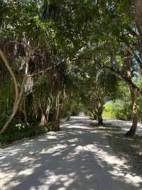 Incredible Stay at Siyam World