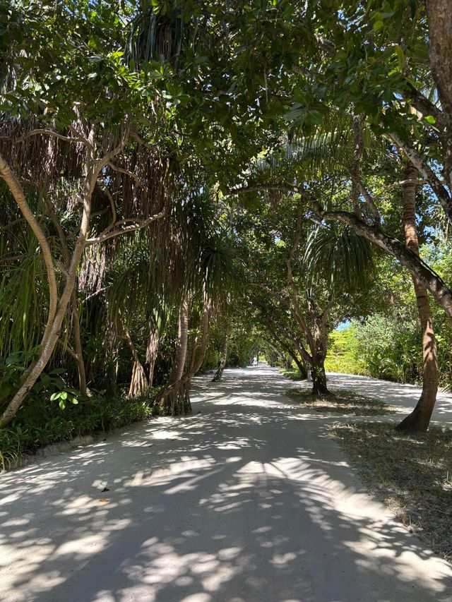 Incredible Stay at Siyam World