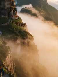 反向旅行爽呆了！梵淨山秋日秘境大公開​