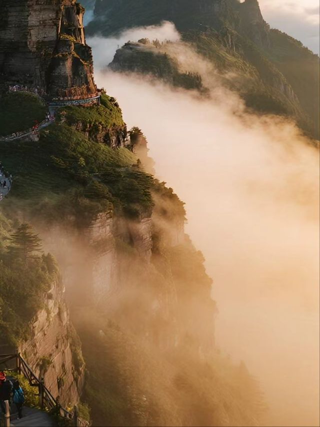 反向旅行爽呆了！梵淨山秋日秘境大公開​