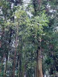 翠山房,親子度假新秘境!