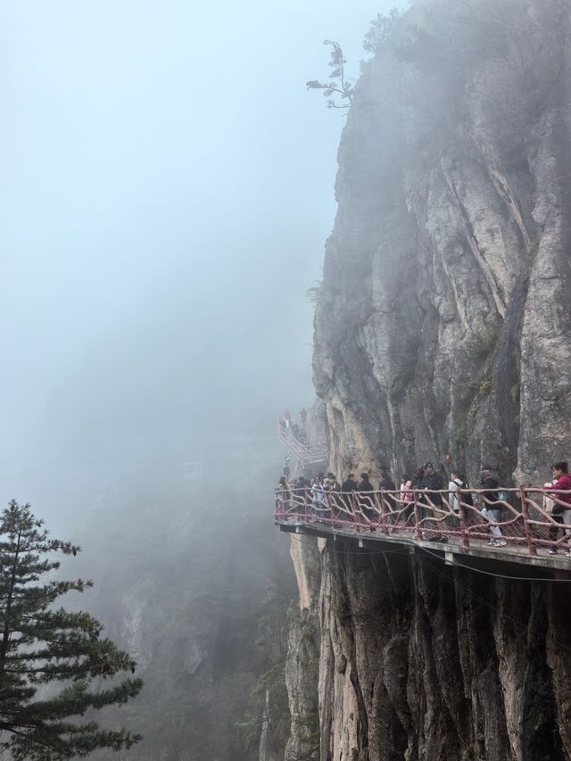 老君山尋仙記