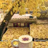 🍂🏮베이징 가을 여행의 로망, 이 골목길을 따라 걷다