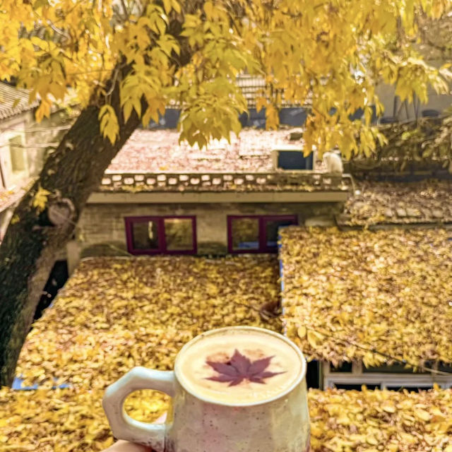 🍂🏮베이징 가을 여행의 로망, 이 골목길을 따라 걷다  🍂🏮베이징 가을 여행의 로망, 이 골목길을 따라 걷다