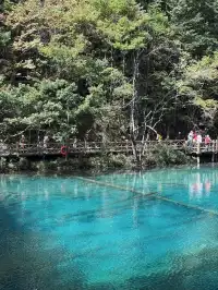九寨溝錯峰出行 錯了個寂寞