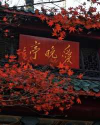 秋光潑墨處，長沙正清嘉