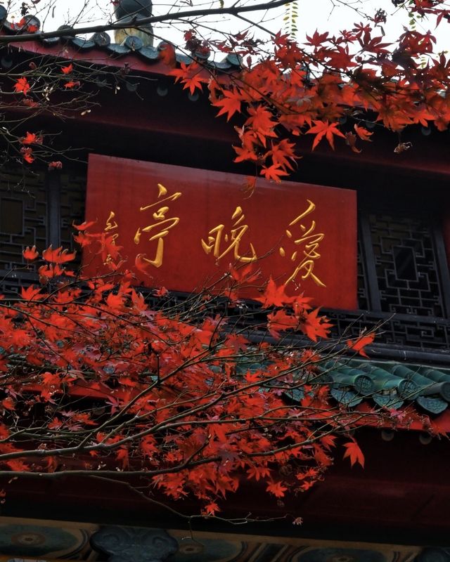 秋光潑墨處，長沙正清嘉