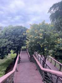 雨中深圳絕美中式園林