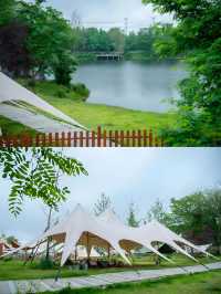 解鎖魯家灘濕地公園的隱藏玩法，邂逅自然與歡樂的完美融合