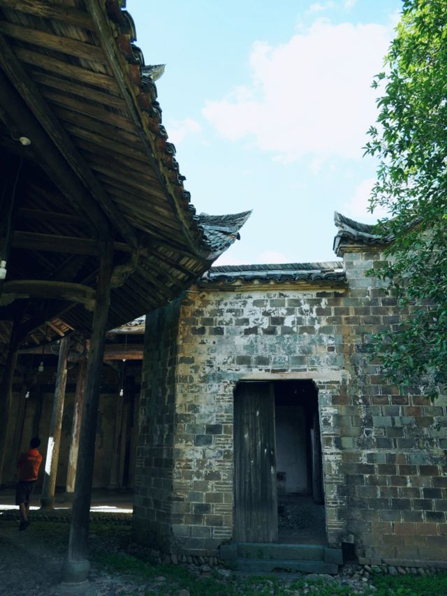 稻田裡的遺世之作:廣渡村大公殿 稻田裡的遺世之作:廣渡村大公殿