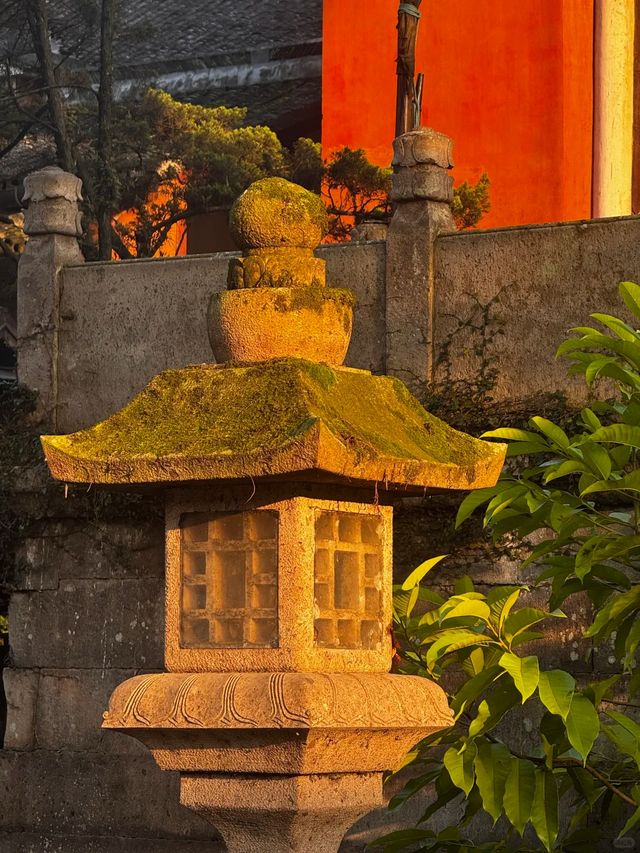0元解鎖天台秋日封神機位！2天1晚穿越隋塔+瀑布+彩林