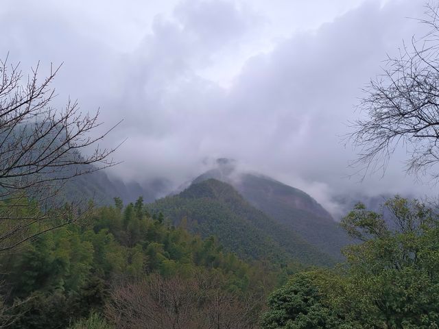 愛我就帶我去明月山 愛我就帶我去明月山