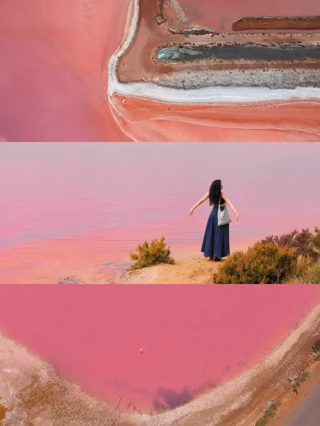 Hutt Lagoon |粉湖,又是跟著老周遊西澳的一 Hutt Lagoon |粉湖,又是跟著老周遊西澳的一