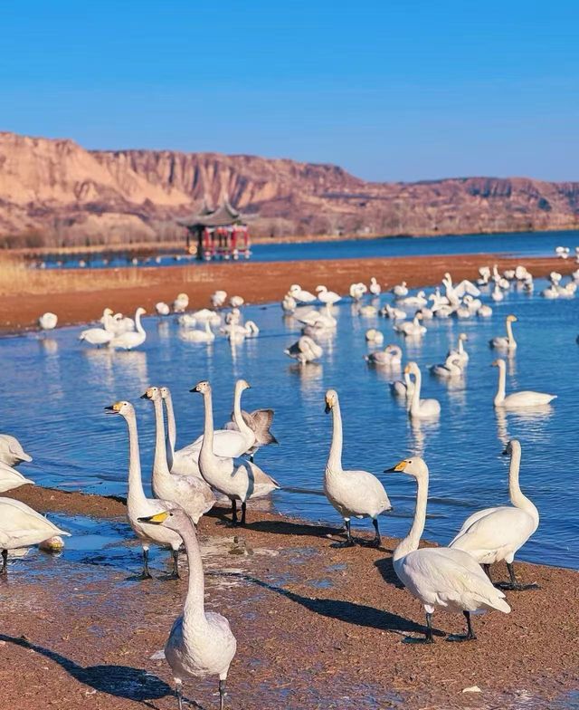 稷山附近旅遊去哪裡好玩 稷山附近旅遊去哪裡好玩