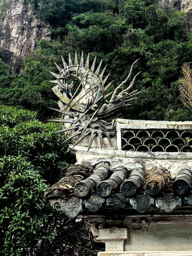 人在旅途、溫州 人在旅途、溫州