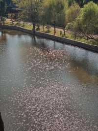 黃岡寶藏公園！不是蘇軾粉絲也淪陷了！東坡赤壁超全攻略