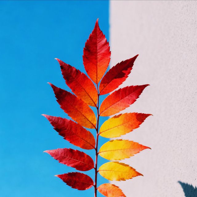 河北紅葉天花板!響堂山秋日封神級紅葉盛宴 河北紅葉天花板!響堂山秋日封神級紅葉盛宴