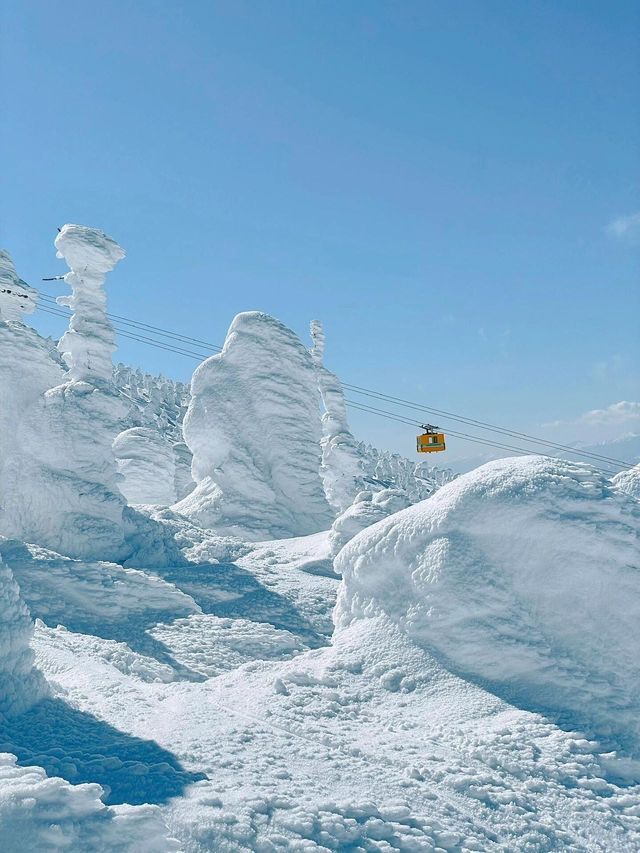 日本東北秘境！冬季限定小眾路線大公開