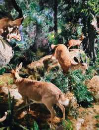 深圳遛娃一日遊 地鐵直達!免費!這條路線太香了