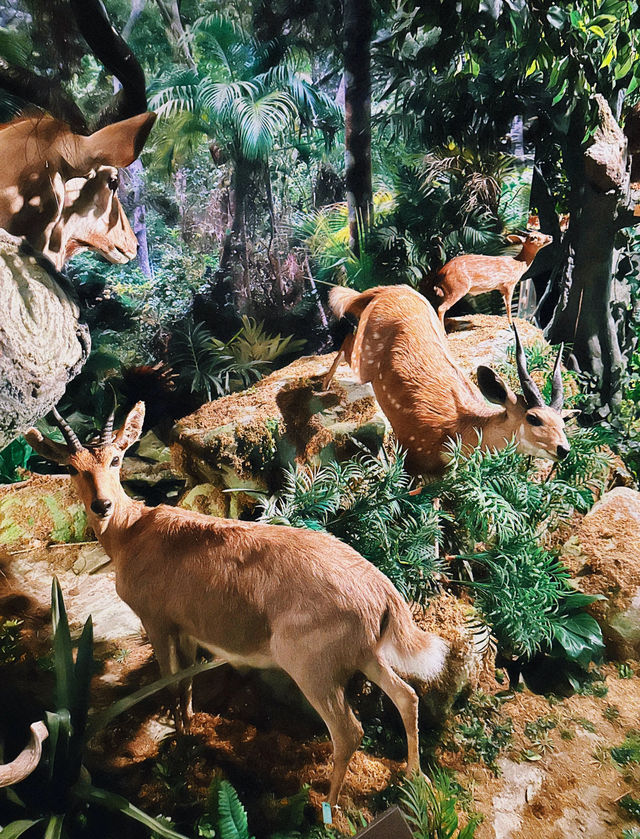 深圳遛娃一日遊 地鐵直達!免費!這條路線太香了 深圳遛娃一日遊 地鐵直達!免費!這條路線太香了