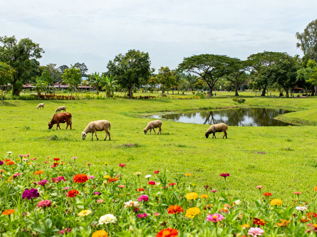🥭Malaysia Agro Exposition Park Serdang: Asia’s Premier Agro-Tourism Haven
