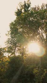 新昌,回山秋景已經藏不住了快衝呀