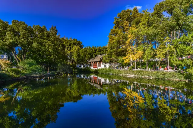 The hidden Jiangnan secret classical garden in Shanghai, Guyi Garden, straight from the camera!