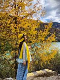 綿陽寶藏賞秋地 | 扒昔加古寨,免費解鎖秋日童話!