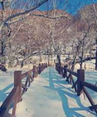 長白山|冰雪仙境暴走攻略天池藍冰美到窒息! 長白山頂流!冰雪童話世界美到犯規! 誰說