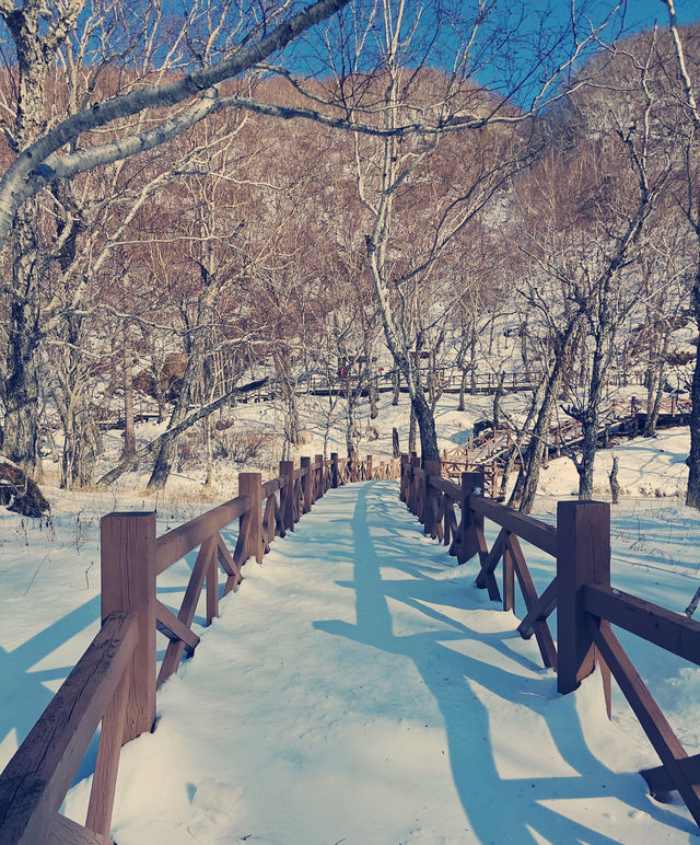 長白山|冰雪仙境暴走攻略天池藍冰美到窒息! 長白山頂流!冰雪童話世界美到犯規! 誰說 長白山|冰雪仙境暴走攻略天池藍冰美到窒息! 長白山頂流!冰雪童話世界美到犯規! 誰說