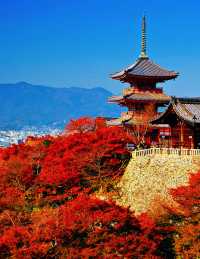 嚟十和田湖感受秋日浪漫啦!呢度嘅楓葉季節簡直靚到窒息,隨手一影就係明信片級數嘅風景