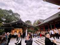 鶴岡八幡宮｜鎌倉最具代表性的神社散步路線 ⛩️🍁