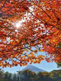 秋霜送君千里遠，月候來年嶺上紅