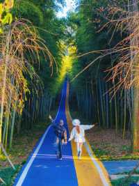 宜興這的秋天 建議去這裡