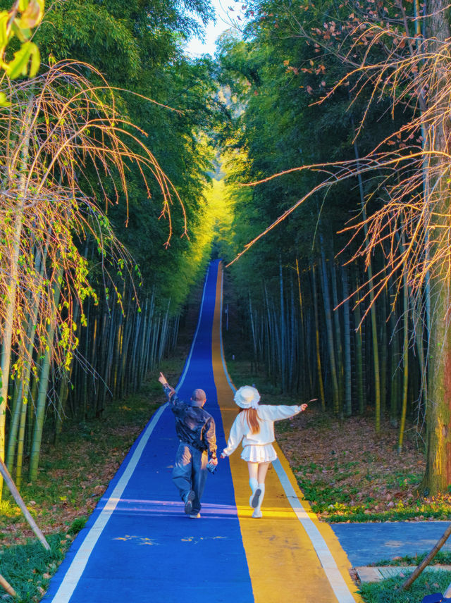 宜興這的秋天 建議去這裡