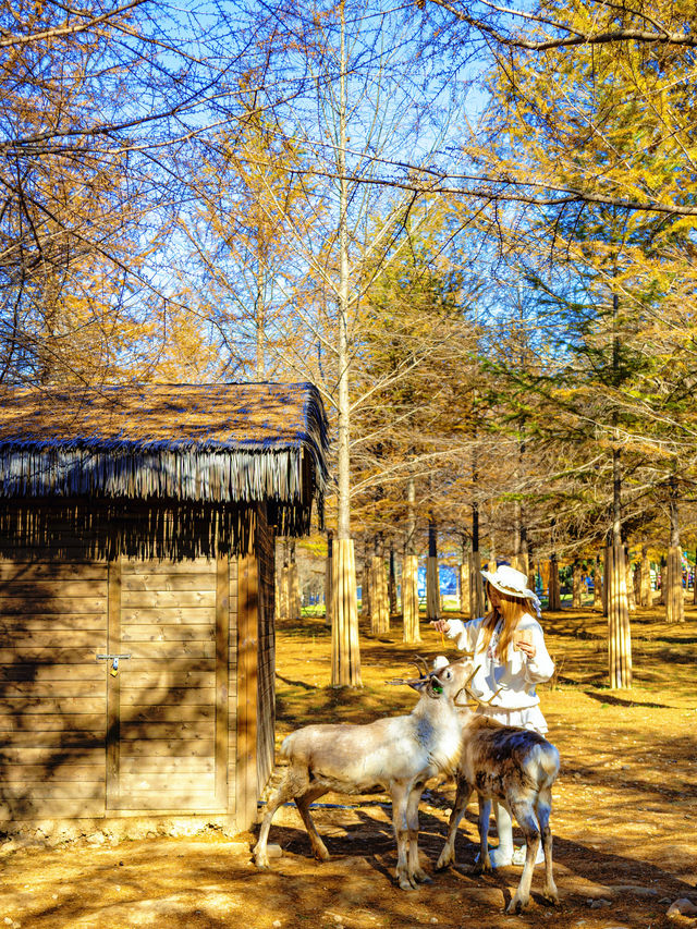 宜興這的秋天 建議去這裡