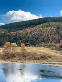 普達措生態秘境指南