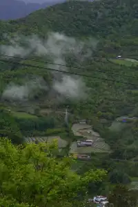 人生第一次帶相機雨林徒步!