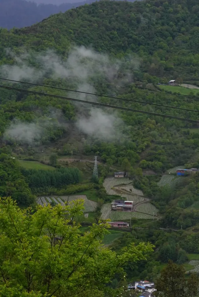 人生第一次帶相機雨林徒步! 人生第一次帶相機雨林徒步!