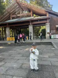 室外遛娃｜諸暨五泄 闖入秋葉世界