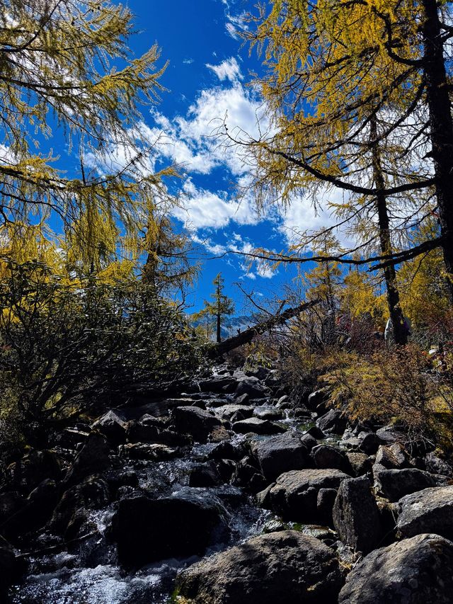 四川黨嶺徒步7日全記錄，秘境穿越指南