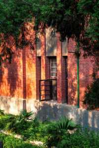 嶽麓書院旁秘徑！長沙秋日打卡天花板