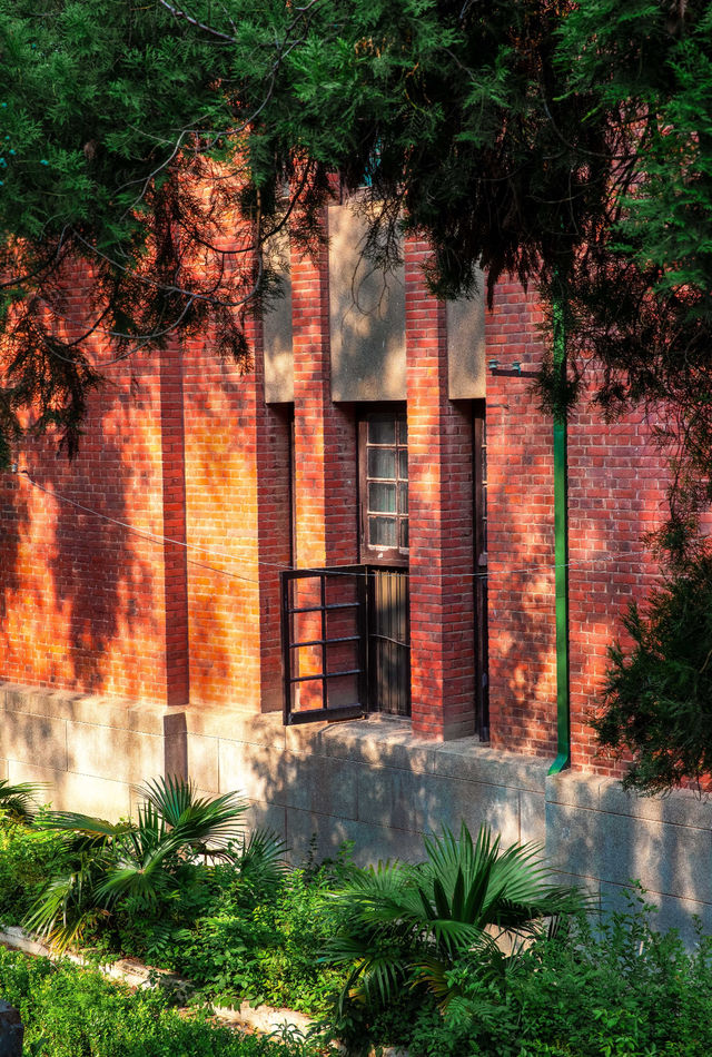 嶽麓書院旁秘徑！長沙秋日打卡天花板