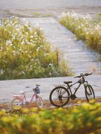 從雅格歡聚酒店出發，解鎖濱江秋日旅拍的N種浪漫