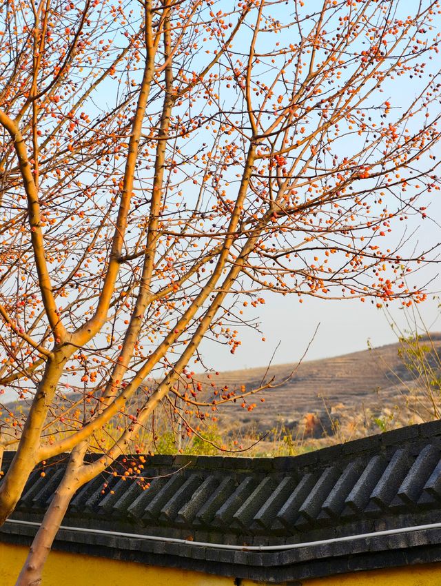 禪意古寺打卡攻略 禪意古寺打卡攻略