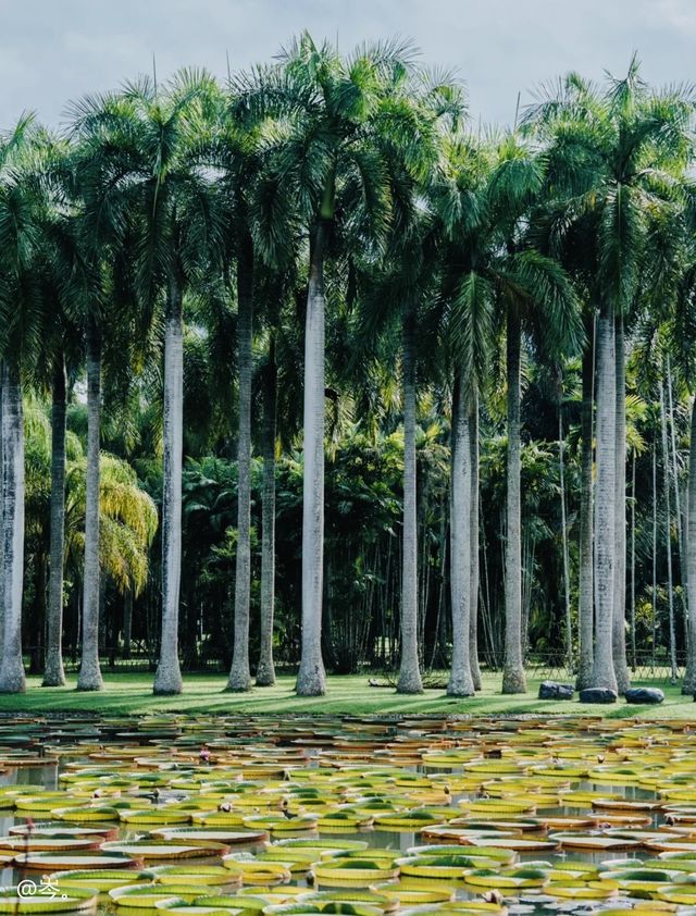 帶爸媽必收藏！寧波出發3h直達暖冬勝地