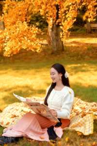 接下來這將是廣東賞秋天花板……